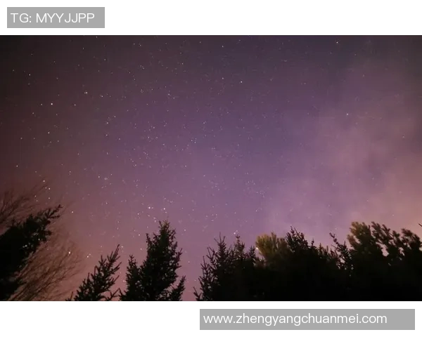 南美足球明星的璀璨星空谁是其中的闪耀之星